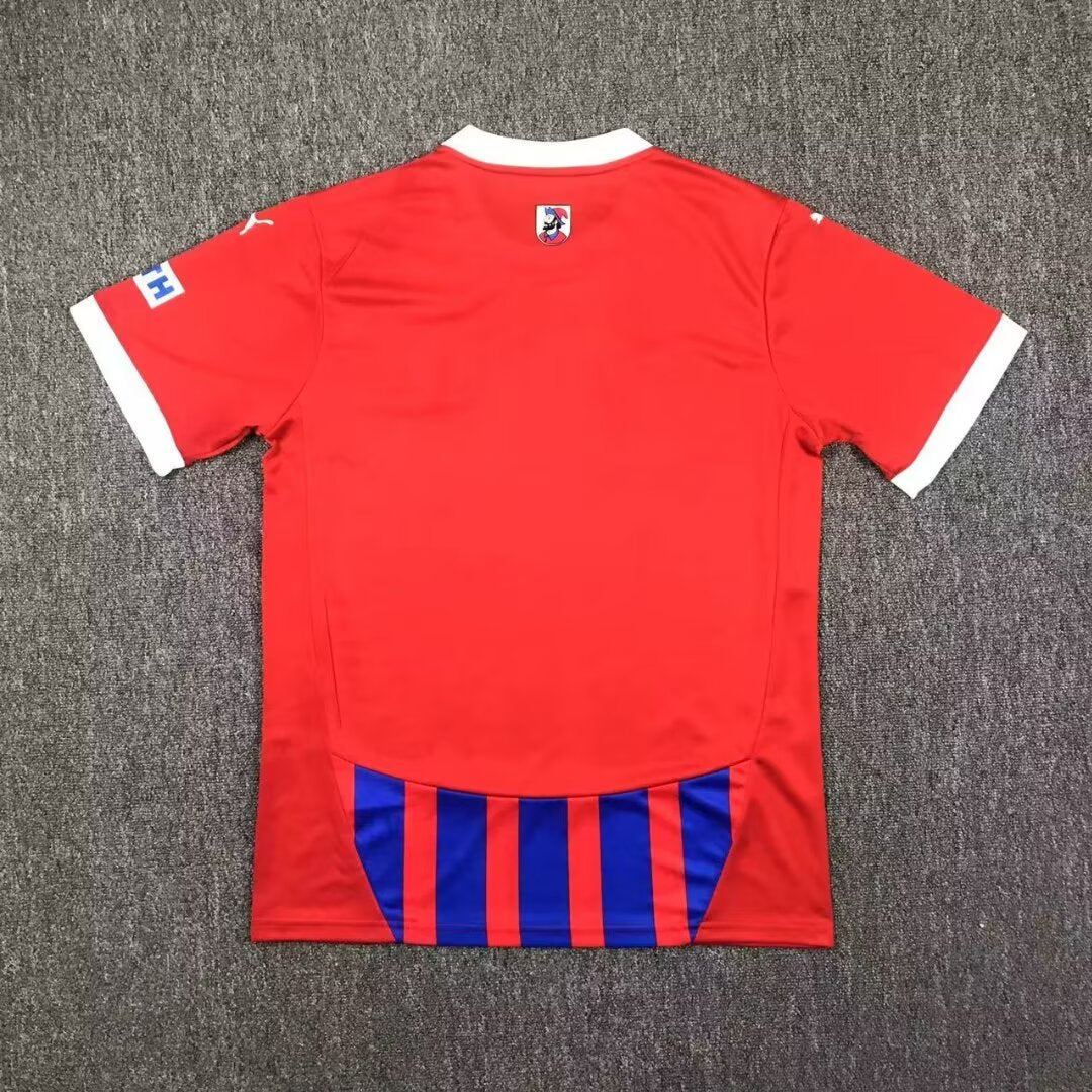 other team 2024/2025 Home Fan Version Football Jersey