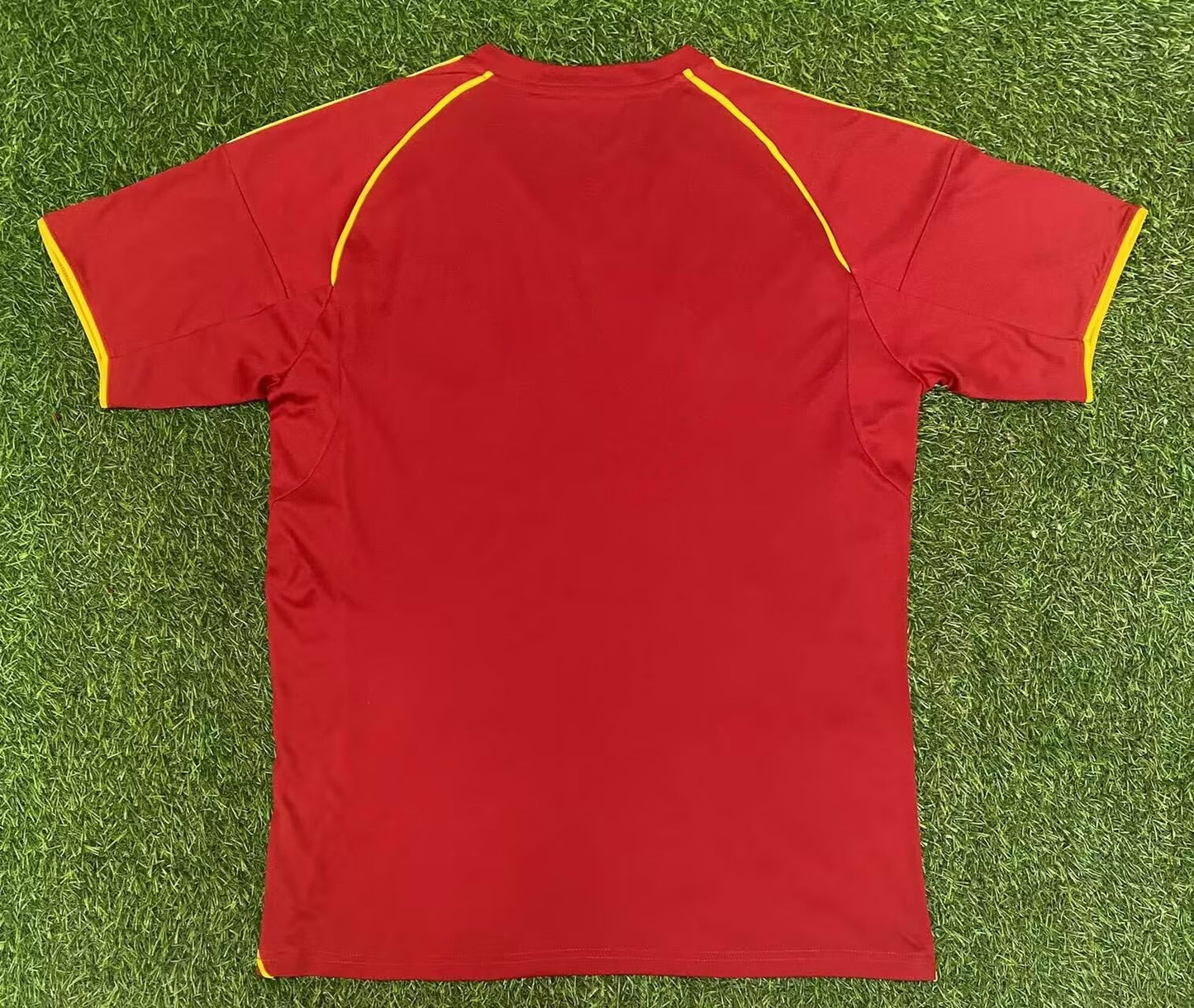 Reading 2025/2026 Home Fan Version Football Jersey
