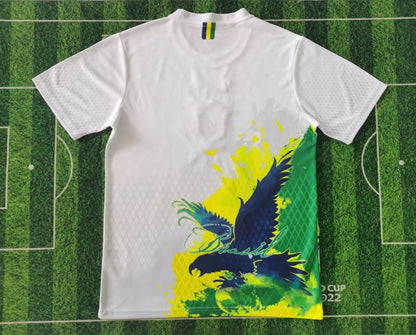 Brazil Special Edition 2025/2026 Fan Version Football Jersey