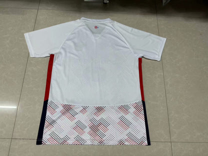 Lille 2024/2025 Away Fan Version Football Jersey
