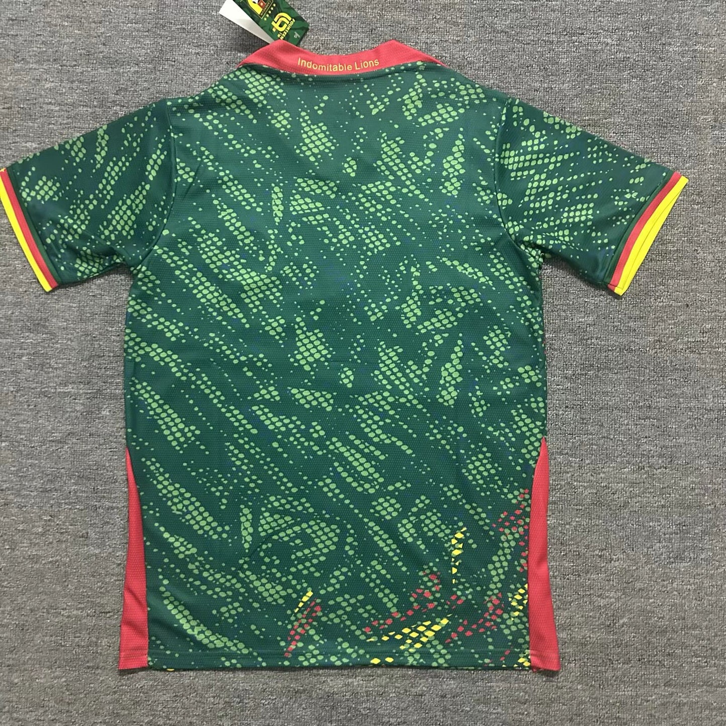 Cameroon 2026/2027 Home Fan Version Football Jersey