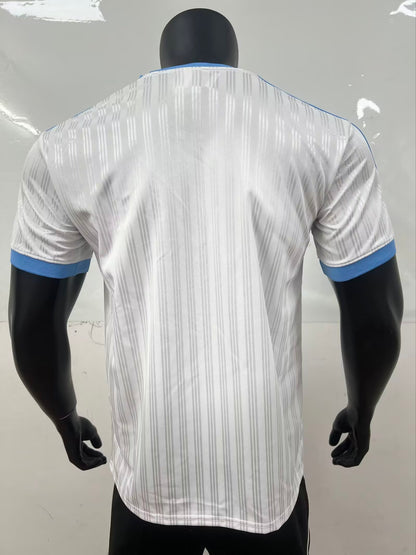 Adidas&Nike 2025/2026 Fan Version Football Jersey
