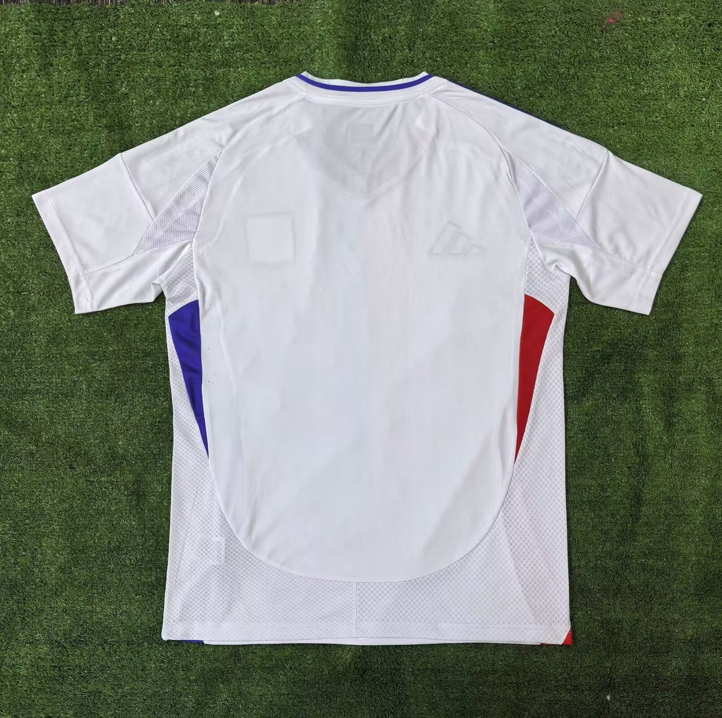 France -Ligue 1 2024/2025 Home Fan Version Football Jersey