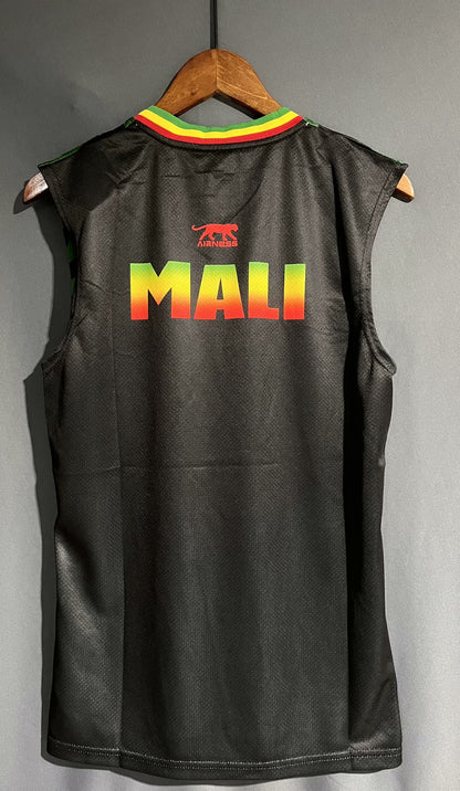 Mali Special Edition 2023/2024 Fan Version Football Jersey