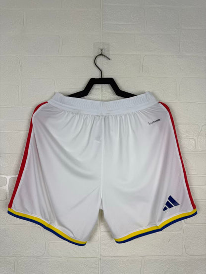 Argentina 2026/2027 Home Player Version Football Jersey