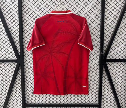Haiti 2026/2027 Third Away Fan Version Football Jersey