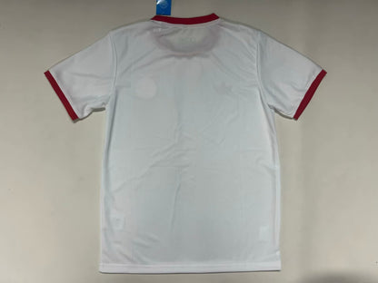 SL Benfica 2025/2026 Fan Version Tracksuit