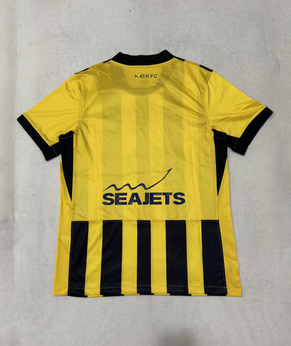 other team 2025/2026 Home Fan Version Football Jersey