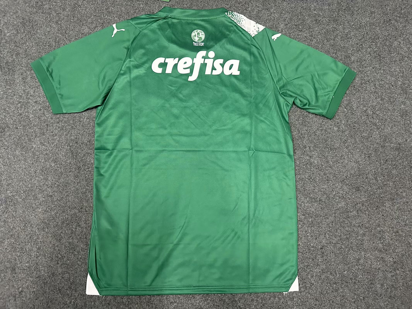Palmeiras Special Edition 2024/2025 Fan Version Football Jersey