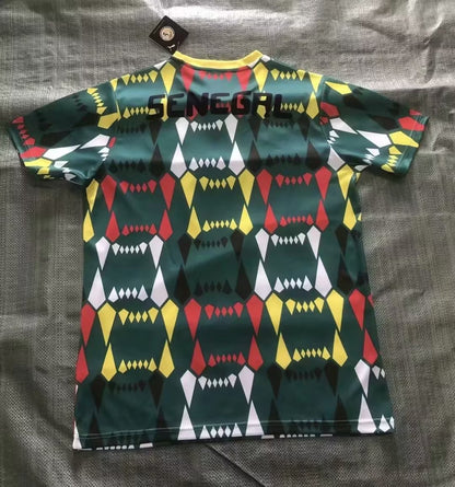 Senegal 2023/2024 Away Fan Version Football Jersey