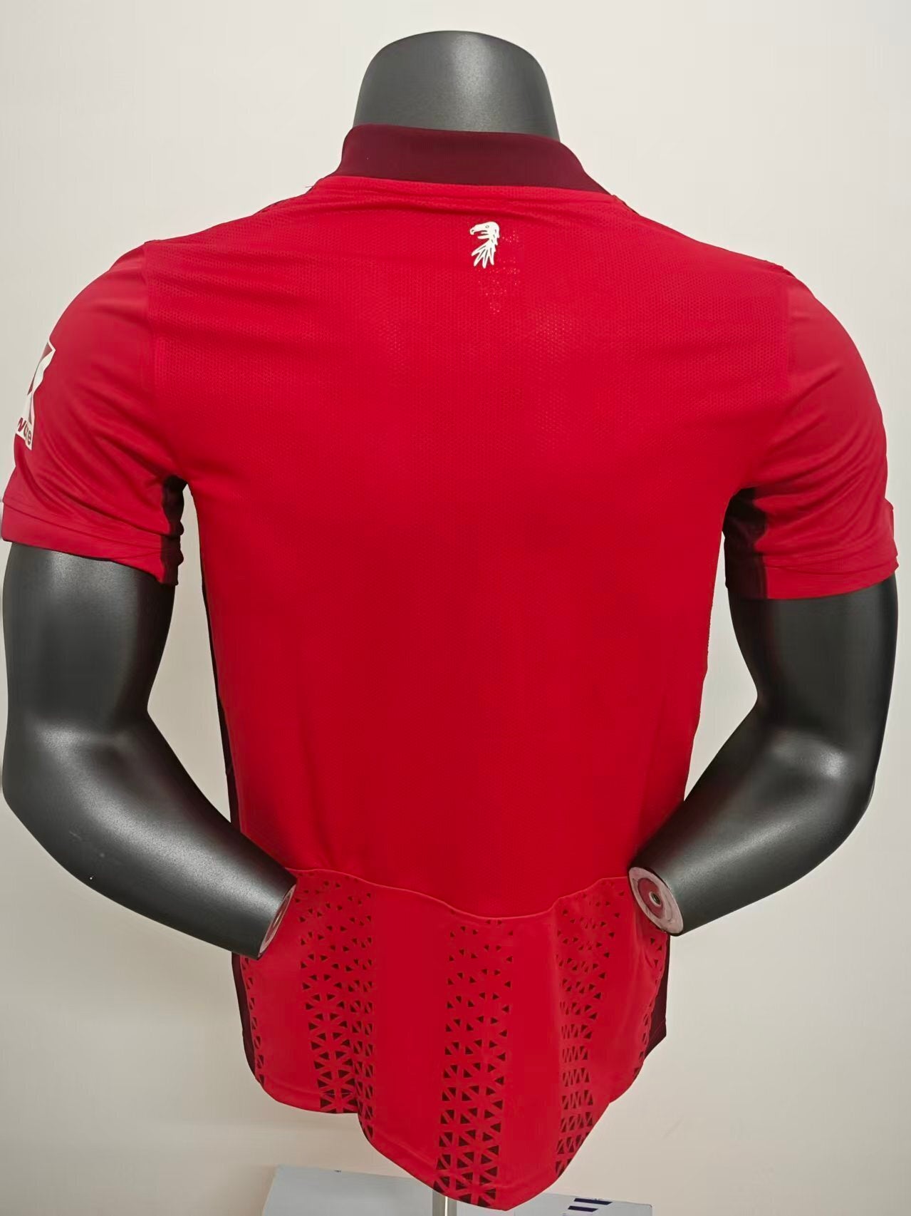 Germany-Bundesliga 2025/2026 Home Player Version Football Jersey