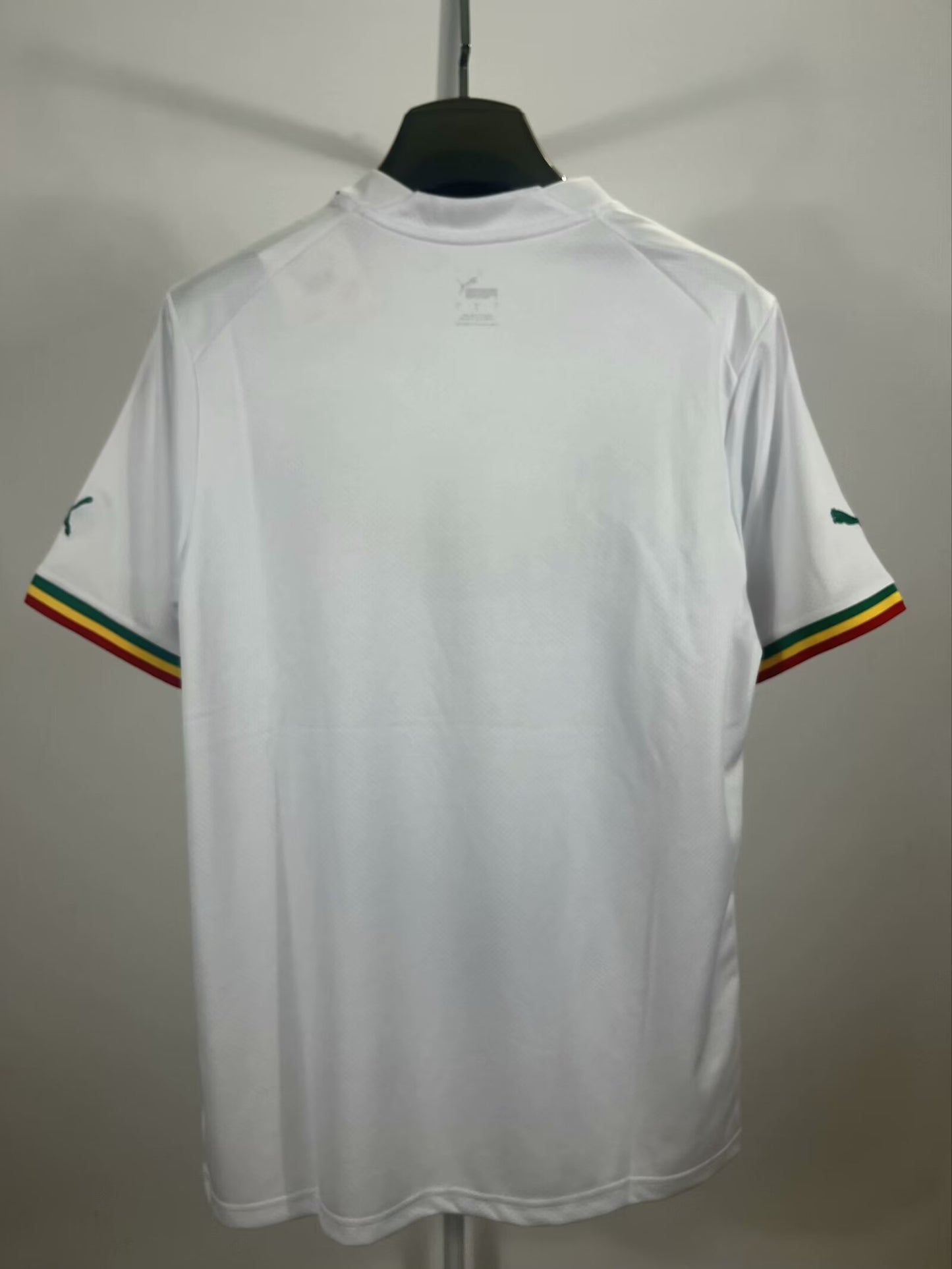 Senegal Special Edition 2023/2024 Fan Version Football Jersey