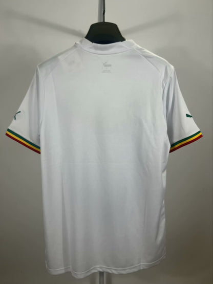 Senegal Special Edition 2023/2024 Fan Version Football Jersey