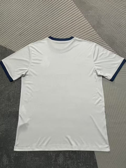 Porto Special Edition 2025/2026 Fan Version Football Jersey