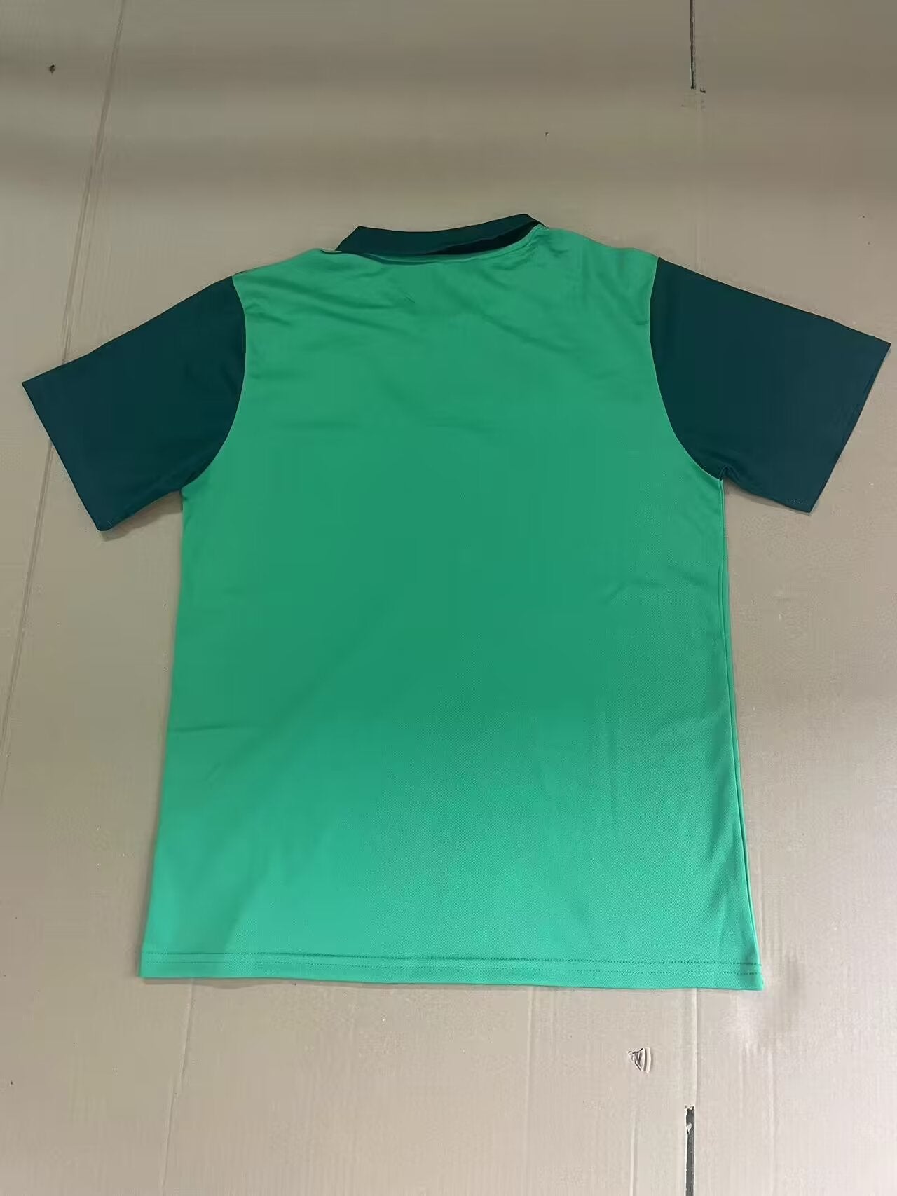 Palmeiras Special Edition 2024/2025 Fan Version Football Jersey