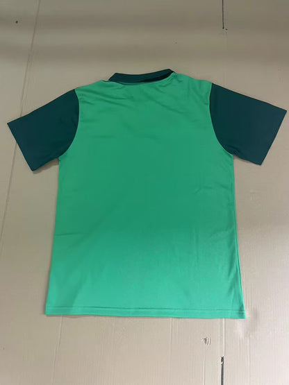 Palmeiras Special Edition 2024/2025 Fan Version Football Jersey