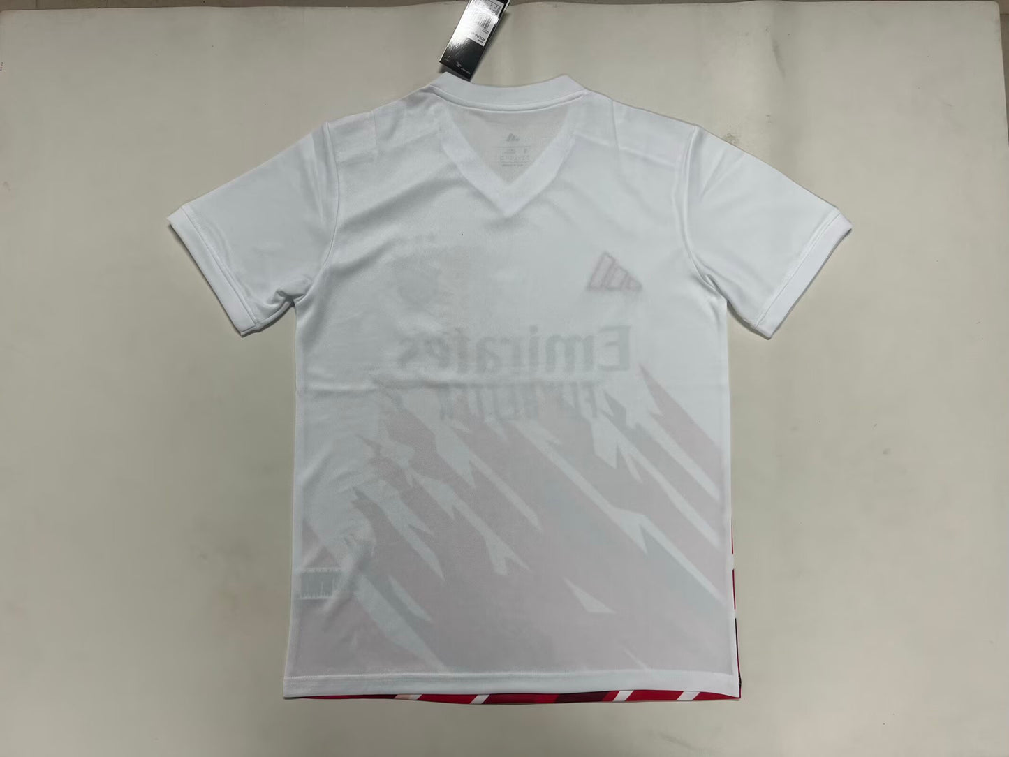 SL Benfica Special Edition 2025/2026 Fan Version Football Jersey