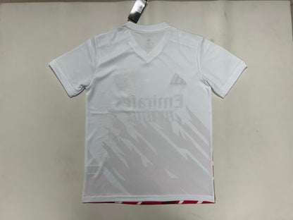 SL Benfica Special Edition 2025/2026 Fan Version Football Jersey