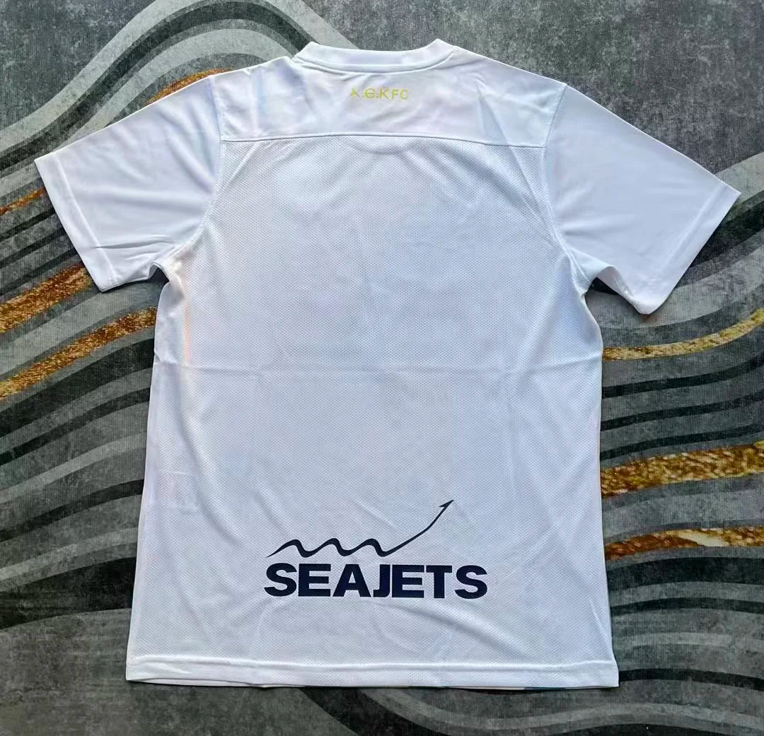other team 2025/2026 Third Away Fan Version Football Jersey
