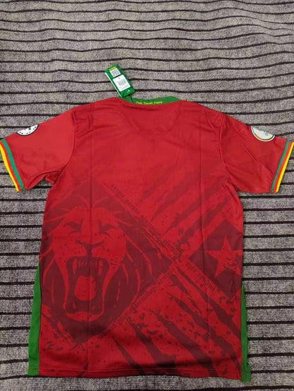 Cameroon 2025/2026 Home Fan Version Football Jersey