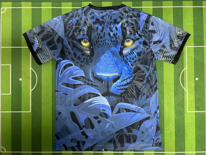 Brazil Special Edition 2024/2025 Fan Version Football Jersey