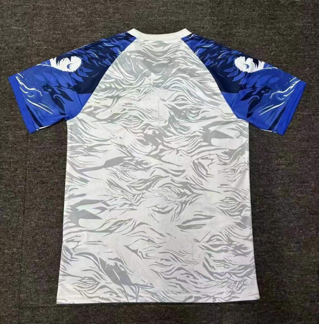Japan Special Edition 2024/2025 Fan Version Football Jersey
