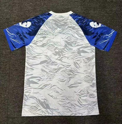 Japan Special Edition 2024/2025 Fan Version Football Jersey