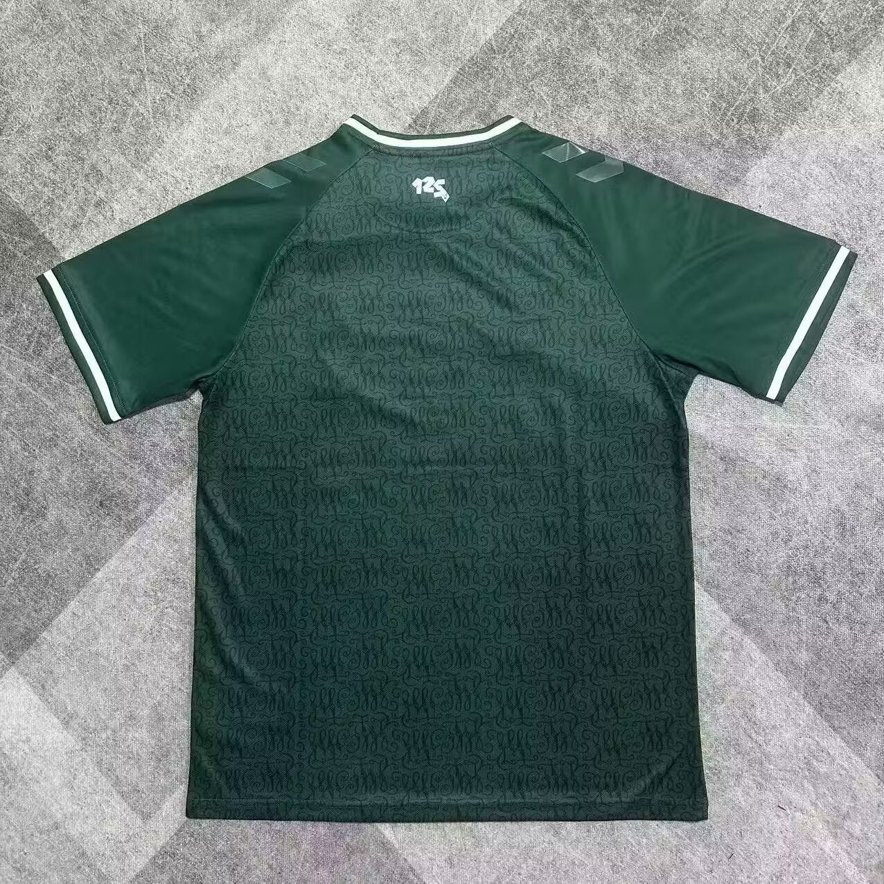 Werder Bremen Special Edition 2025/2026 Fan Version Football Jersey