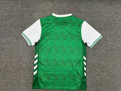 Saint Etienne 2025/2026 Home Fan Version Football Jersey