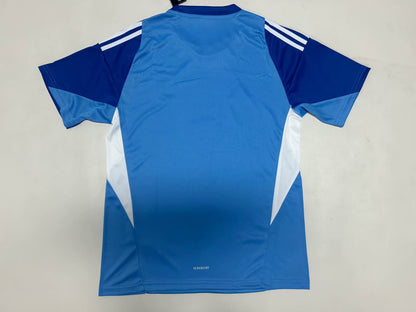 Juventus 2025/2026 Goalkeeper Fan Version Football Jersey
