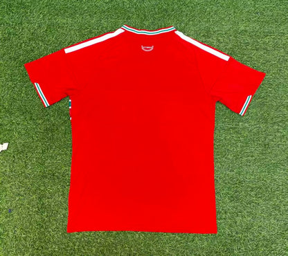 Wales 2026/2027 Home Fan Version Football Jersey