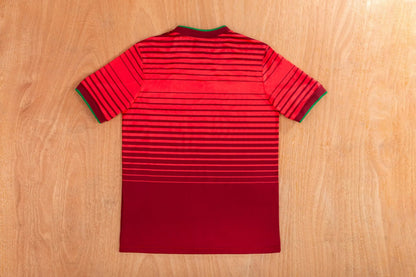 Retro Portugal 2014 Home Fan Version Football Jersey