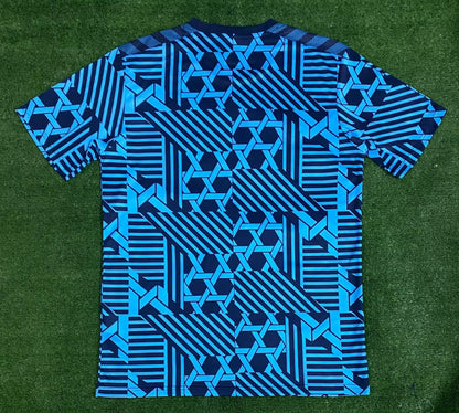 Denmark 2023/2024 Fan Version Tracksuit