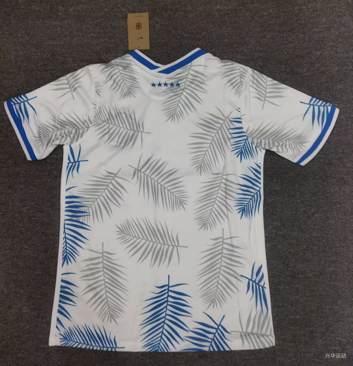 Brazil Special Edition 2024/2025 Fan Version Football Jersey