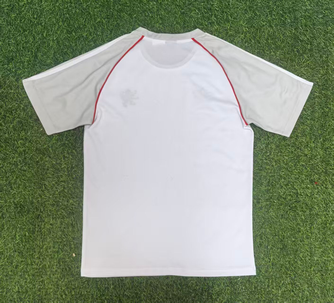 Lyon Special Edition 2025/2026 Fan Version Football Jersey
