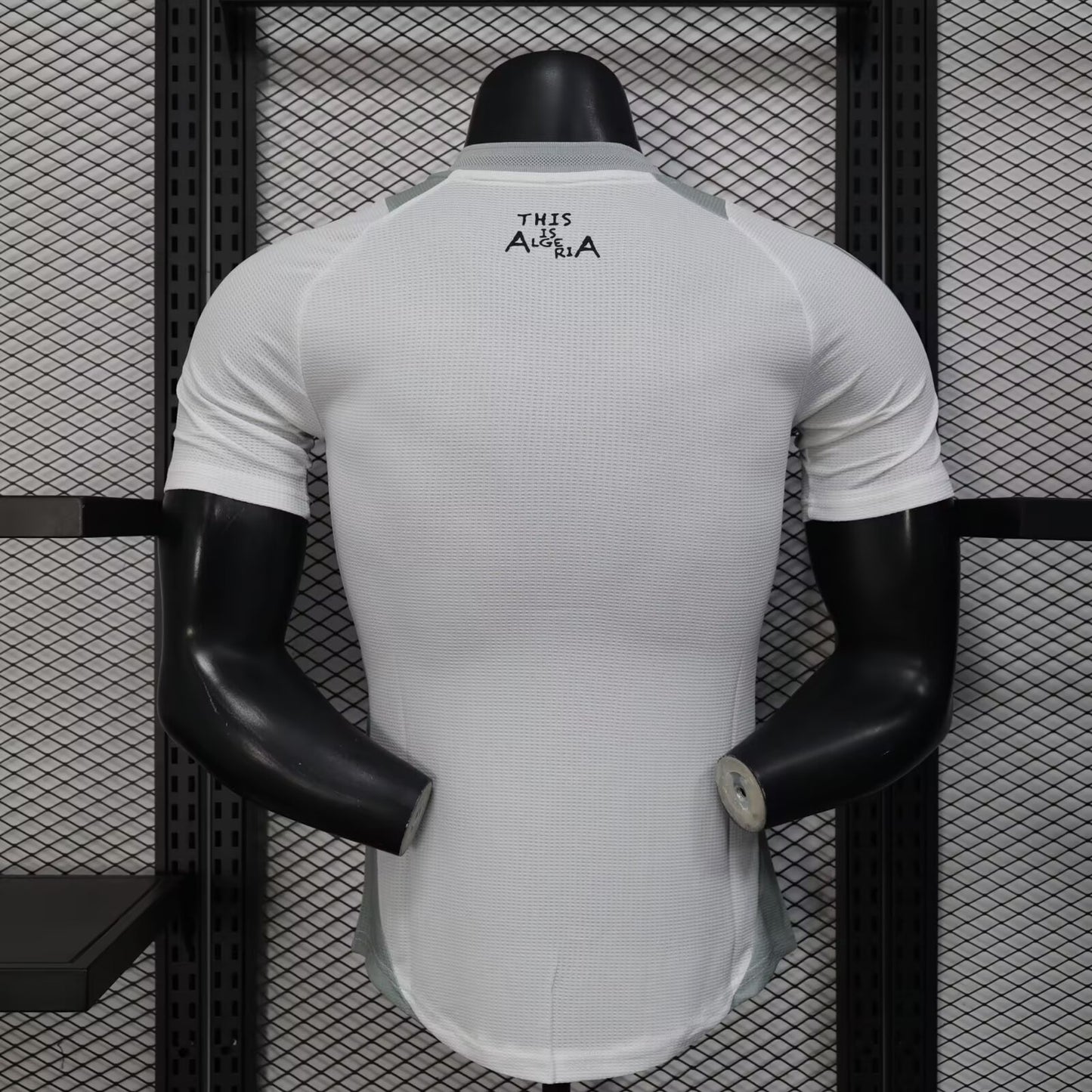 Algeria 2025 Player Version Football Jersey