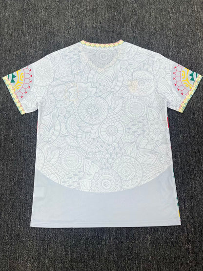 Mali Special Edition 2025/2026 Fan Version Football Jersey