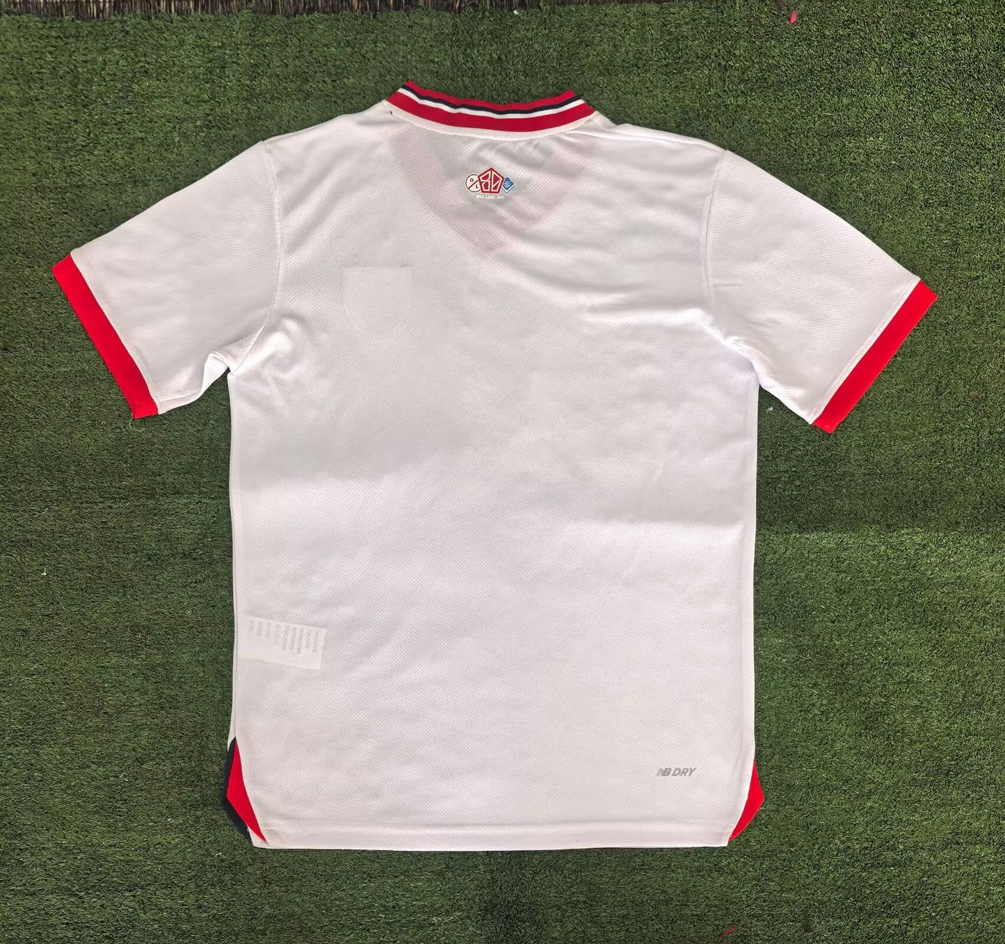 Lille Special Edition 2024/2025 Fan Version Football Jersey