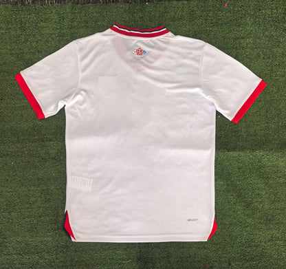 Lille Special Edition 2024/2025 Fan Version Football Jersey