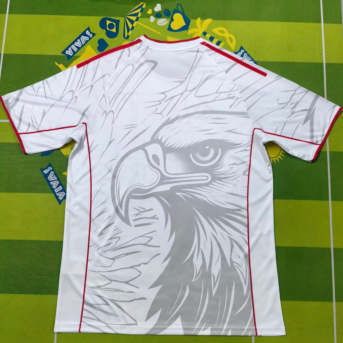 SL Benfica Special Edition 2025/2026 Fan Version Tracksuit