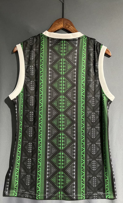 Nigeria Special Edition 2023/2024 Fan Version Football Jersey