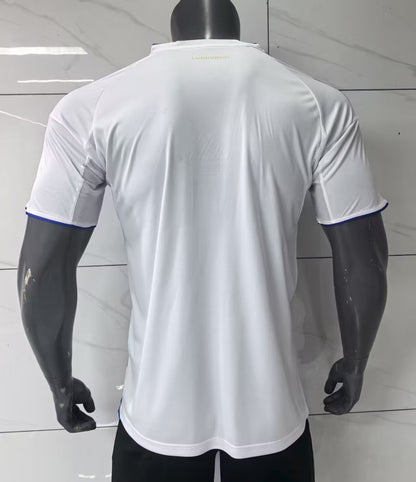 France -Ligue 1 2025/2026 Home Fan Version Football Jersey