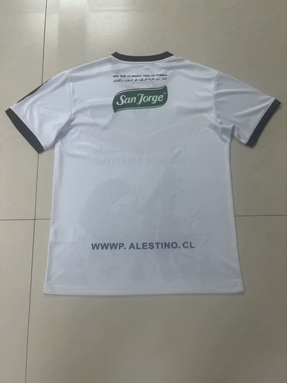 other team Special Edition 2024/2025 Fan Version Football Jersey