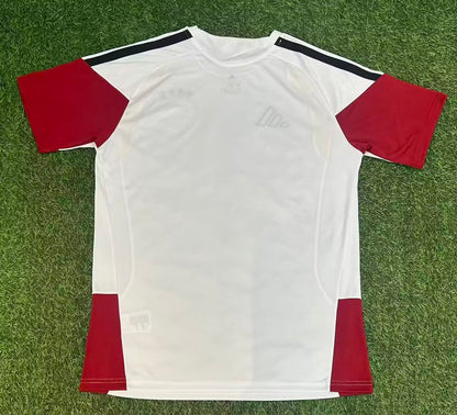 Germany Special Edition 2026/2027 Fan Version Tracksuit