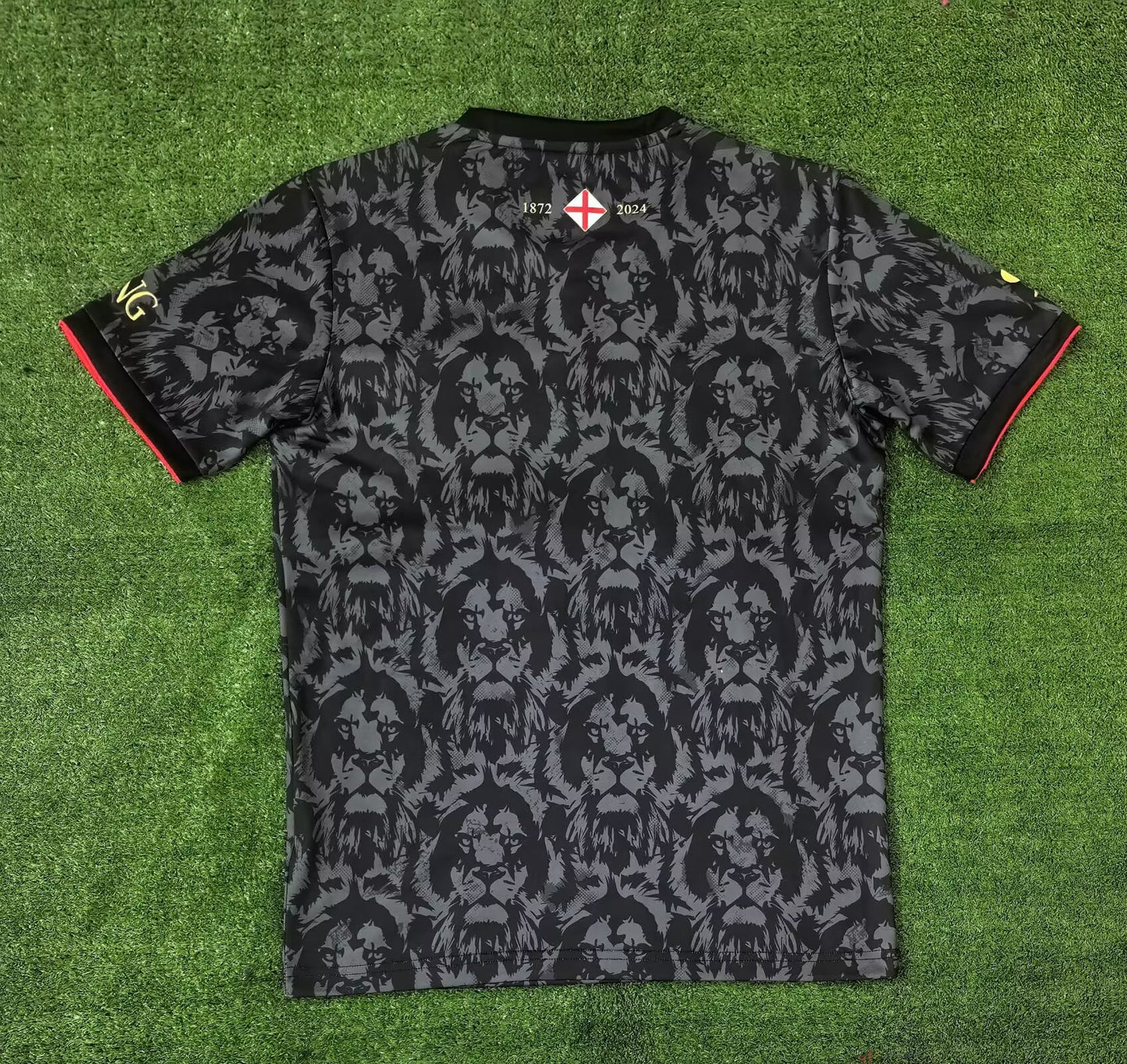 England Special Edition 2024/2025 Fan Version Football Jersey