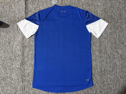 Porto Special Edition 2025/2026 Fan Version Football Jersey