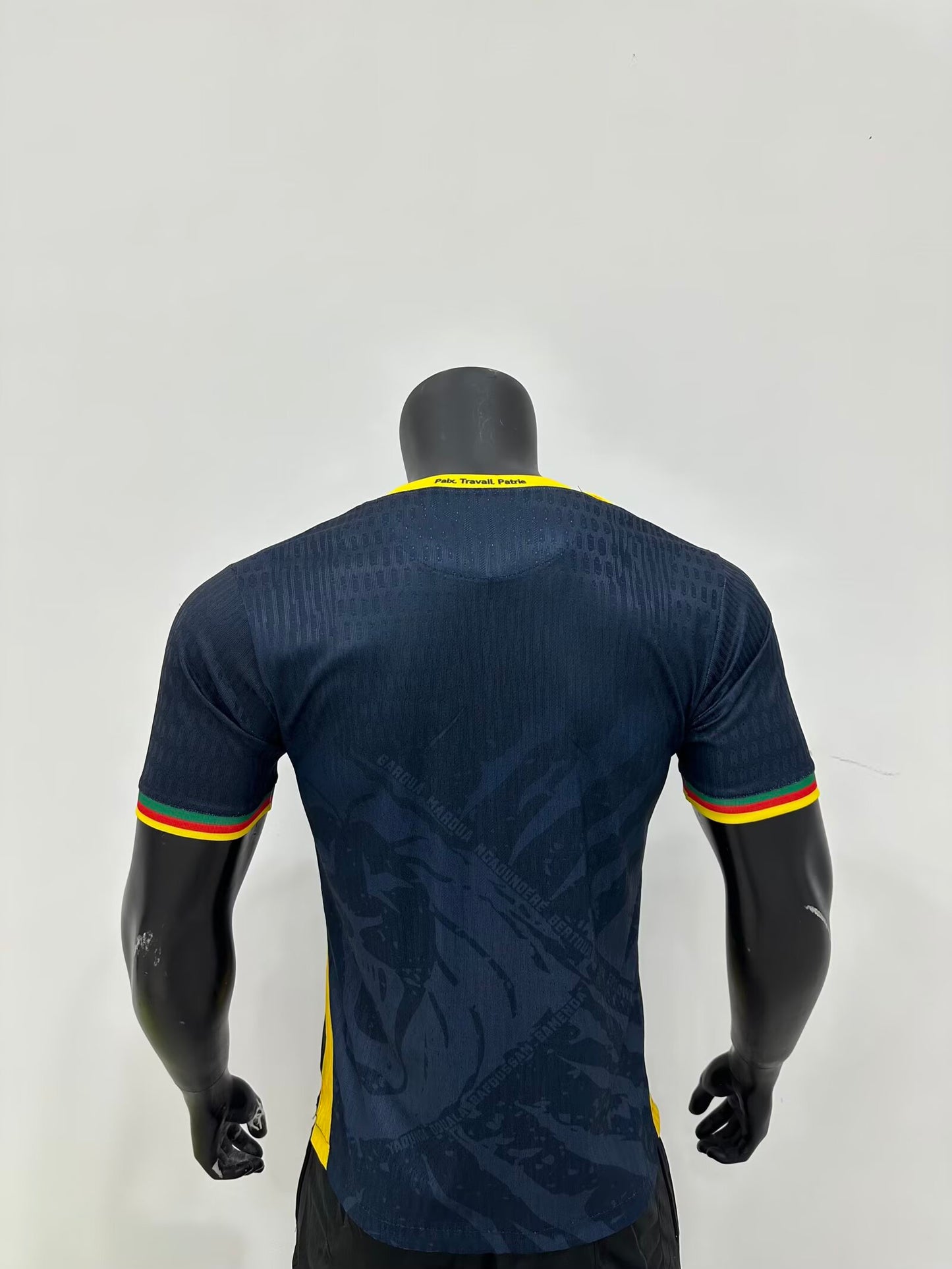 Cameroon Special Edition 2025/2026 Player Version Football Jersey