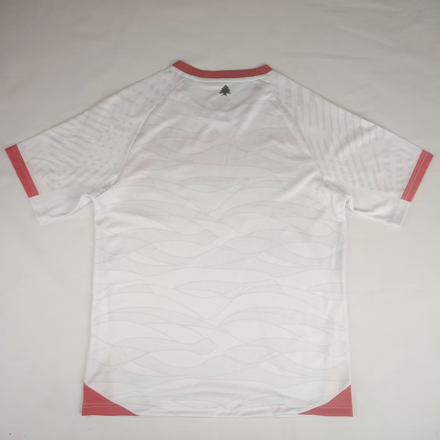 Lebanon 2024/2025 Home Fan Version Football Jersey