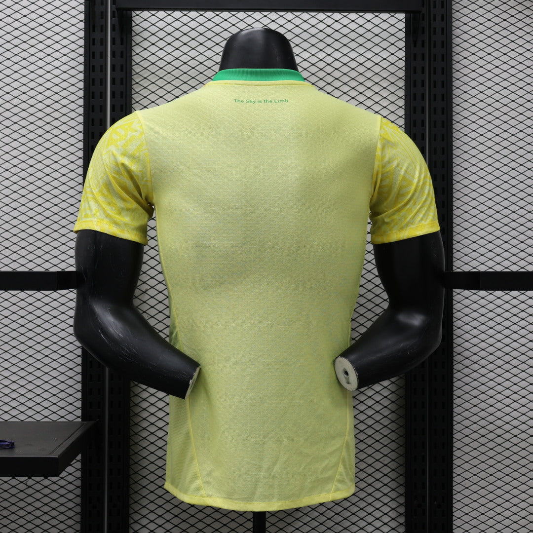 other team 2024/2025 Home Player Version Football Jersey
