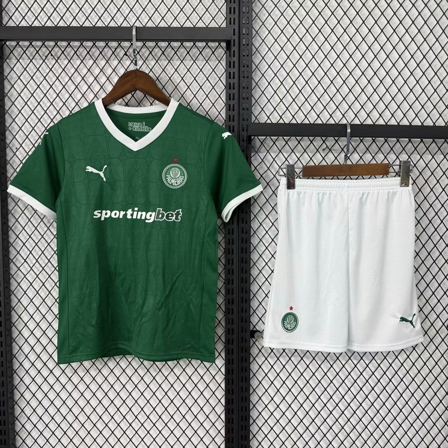 Palmeiras 2025/2026 Home Fan Version Football Jersey